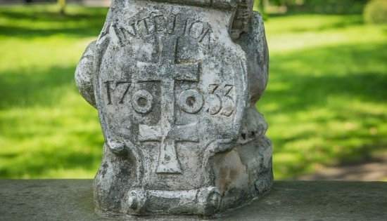 zdjęcie lwiego mostku