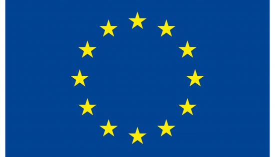 flaga unii europejskiej