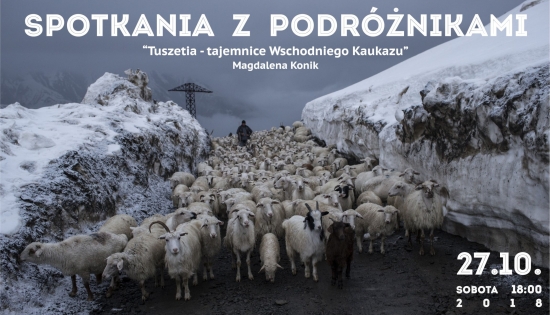 zdjęcie ze stadem owiec i baranów
