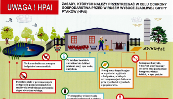 Zasady bioasekuracji przed grypą ptaków