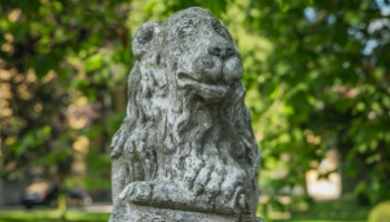 zdjęcie lwiego mostku