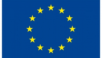 flaga unii europejskiej