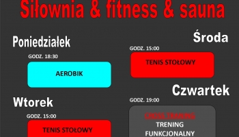 tygodniowy i godzinowy rozkład zajęć sportowych