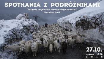 zdjęcie ze stadem owiec i baranów