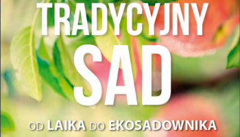 napis tradycyjny sad 