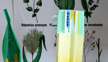 pomoce naukowe