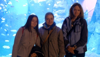 trzy dziewczynki na tle oceanarium