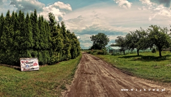  tor na Kaczych Dołach do wyścigów samochodowych wraków 