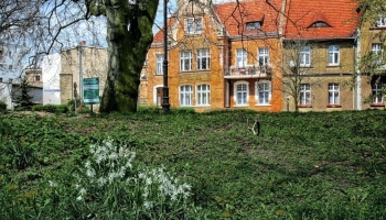 kamieniczki przy parku rogalińskiego